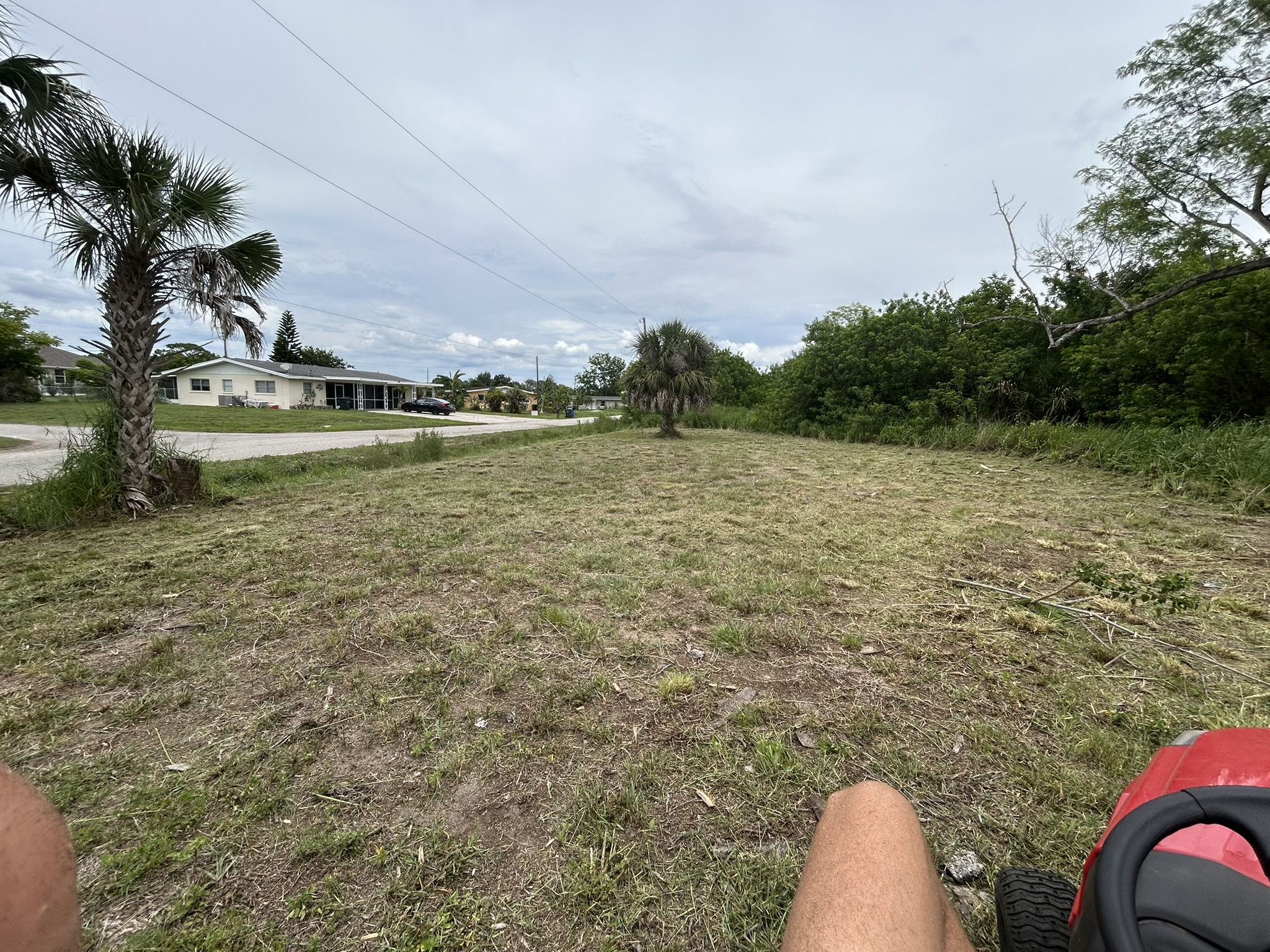 Mower view after overgrown grass cutting near Jockey Club