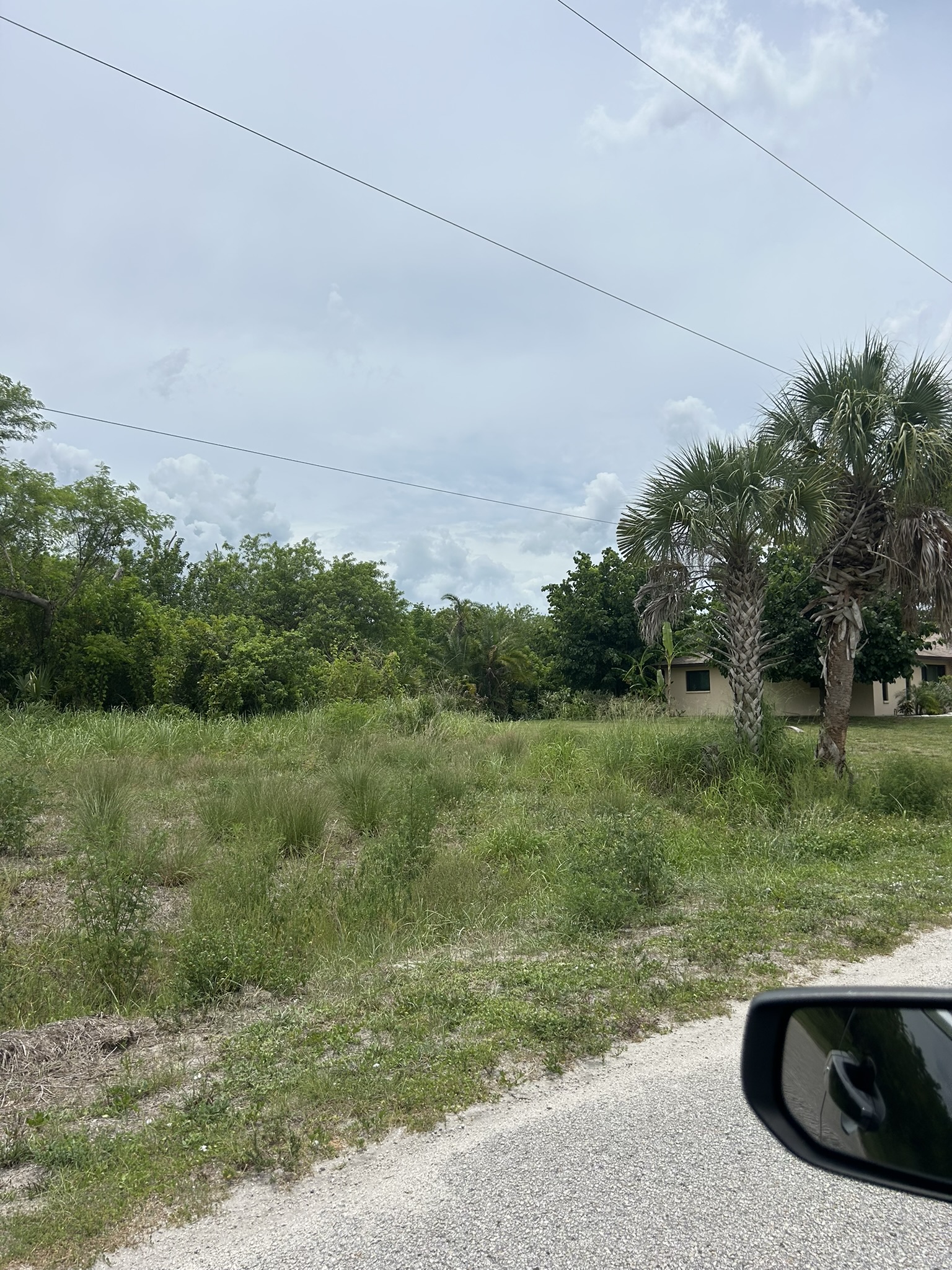 Overgrown grass before lot mowing near Jockey Club North Port